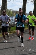 DSC 0093.jpg
