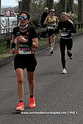 DSC 0370.jpg