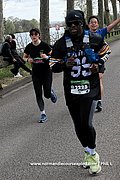 DSC 1253.jpg