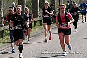 DSC 1424.jpg