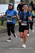 DSC 1982.jpg