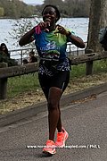 DSC 2101.jpg