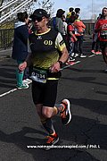 DSC 0554.jpg