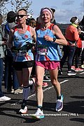 DSC 0606.jpg