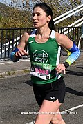 DSC 0753.jpg