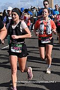 DSC 1100.jpg