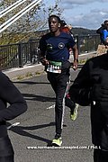 DSC 1288.jpg