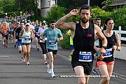 DSC 0062.jpg
