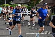 DSC 0155.jpg