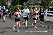 DSC 0204.jpg