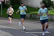 DSC 0260.jpg