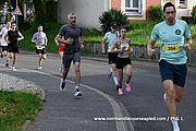 DSC 0264.jpg