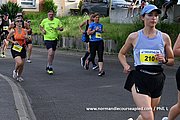 DSC 0317.jpg