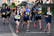 DSC 0339.jpg