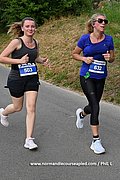 DSC 1354.jpg