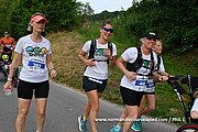 DSC 1528.jpg