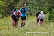 DSC 0250.jpg