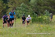 DSC 0251.jpg