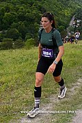 DSC 0433.jpg