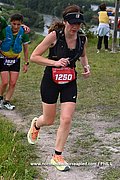 DSC 1339.jpg