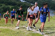 DSC 1617.jpg