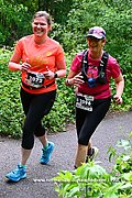 DSC 0446.jpg