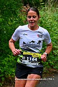 DSC 0553.jpg