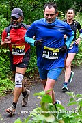 DSC 0652.jpg