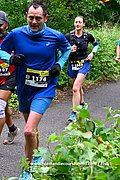 DSC 0653.jpg