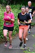 DSC 0735.jpg