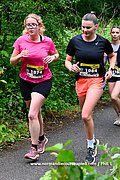 DSC 0736.jpg