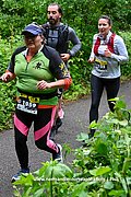 DSC 0800.jpg