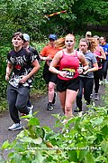 DSC 0809.jpg