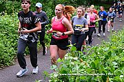 DSC 0810.jpg