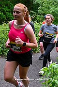 DSC 0812.jpg