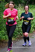 DSC 0862.jpg
