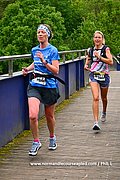 DSC 1250.jpg