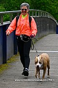DSC 2591.jpg