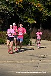 DSC0019.jpg