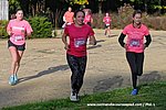 DSC0141.jpg