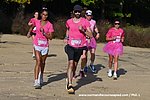 DSC0160.jpg