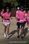 DSC0161.jpg