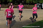 DSC0172.jpg