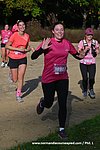 DSC0238.jpg