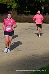 DSC0244.jpg