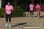 DSC0250.jpg
