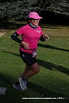 DSC0305.jpg
