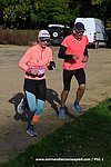 DSC0306.jpg