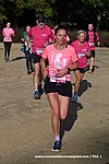 DSC0308.jpg