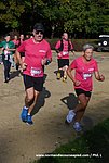DSC0311.jpg